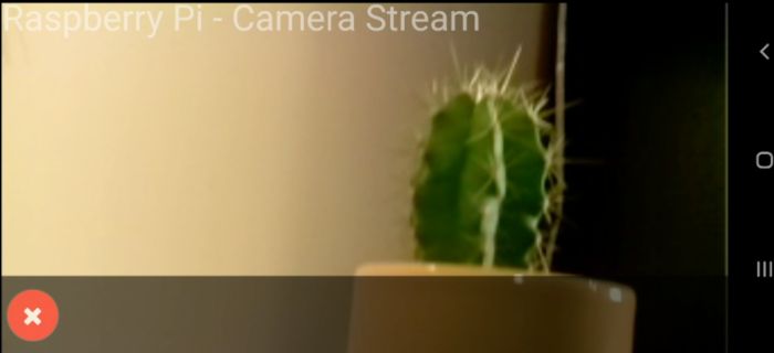 Live Pi Camera Stream
